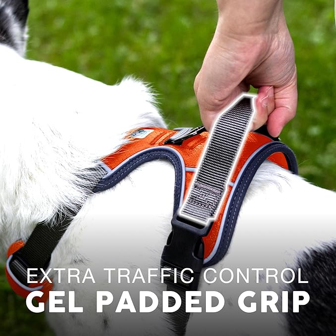 Embark Adventure Dog Harness, Reflective Trim No Pull Dog Harness for Large Dogs - Military Grade Nylon, Front Clip with Gel Lined Handle.-PawvioPets