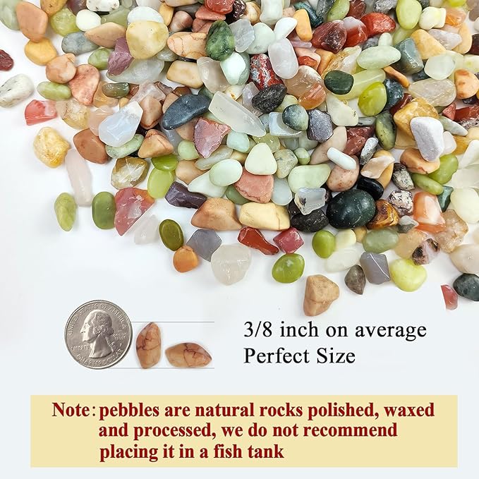 5lbs Small Succulent Rocks, 3/8 Inch Colorful Pebbles for Plants, Decorative Rocks for Plants Indoor, Vases, Planters and Outdoor Gardening Stones-PawvioPets