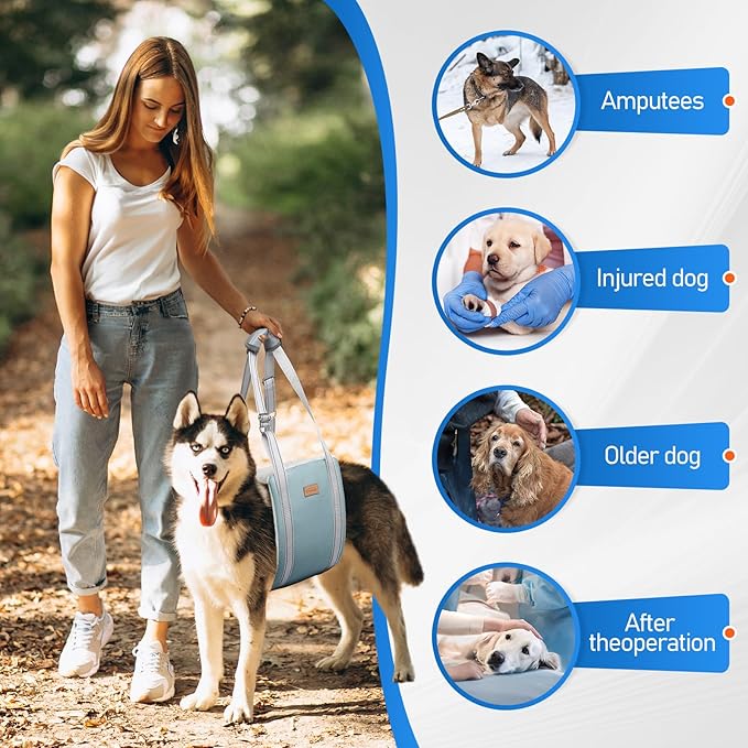 Dog Lift Harness for Large Dogs, Adjustable Dog Sling for Back Legs, Hip Support Harness to Help Lift Dogs Rear for Canine Aid and Old K9 Cruciate Ligament Rehabilitation - Large, Blue-PawvioPets