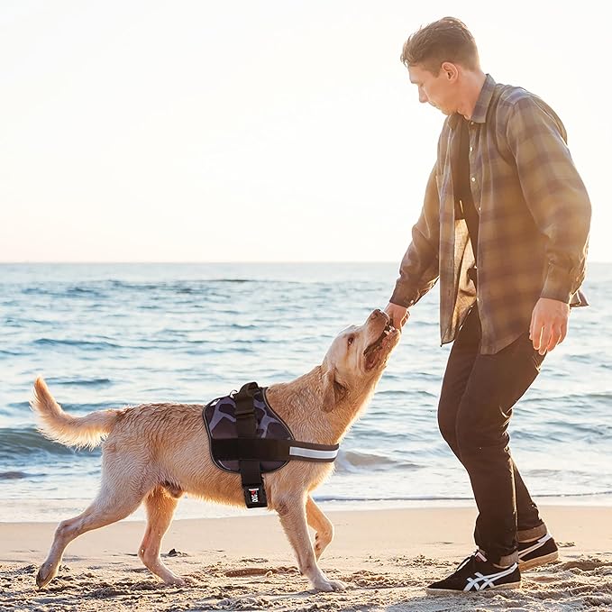 Dogline Dog Harness, Reflective No-Pull Adjustable Vest with Handle for Walking, Training, Breathable, No - Choke Harness for Small, Medium or Large Dogs Room for Patches Girraffe Grey S 18"-24"-PawvioPets