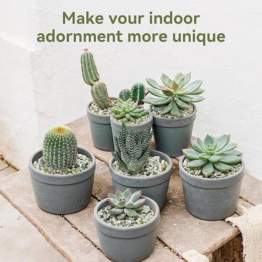 2.5LB Succulent and Cactus Pebbles, 1/5 Inch Jade Pebbles for Indoor Plants, Decorative Gravel for Vases, Bamboo, Succulent, Terrarium, Crafts, Cactus-PawvioPets