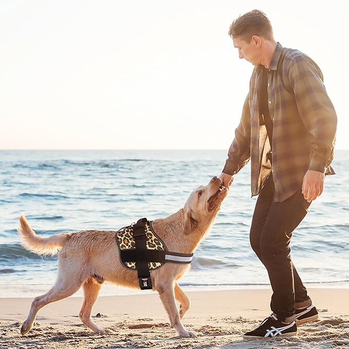 Dogline Dog Harness, Reflective No-Pull Adjustable Vest with Handle for Walking, Training, Breathable, No - Choke Harness for Small, Medium or Large Dogs Room for Patches Leopard Brown M 22"-28"-PawvioPets