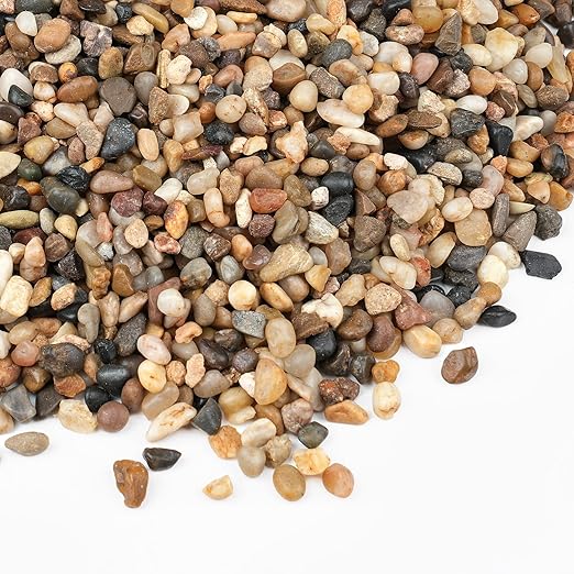 2.5 lbs Small Rocks for Plants, 1/5 Inch Gravel for Plants Drainage, Decorative Potting Pebbles for Indoor Plants, Vases, Bamboo, Succulent, Terrarium, Crafts, Cactus-PawvioPets