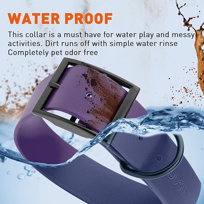 Dogline Biothane Waterproof Dog Collar Strong Coated Nylon Webbing with Black Hardware Odor- Proof for Easy Care Easy to Clean High Performance Fits Small Medium or Large Dogs, Violet Purple-PawvioPets