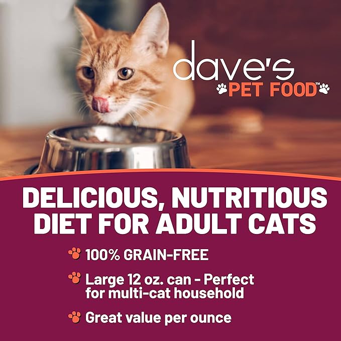 Dave's Pet Food Grain Free Wet Canned Cat Food Pate(Chicken), Made in USA Naturally Healthy, Wheat & Gluten-Free, 12.5 oz Cans (12 Pack)-PawvioPets