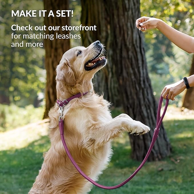 CollarDirect Rolled Leather Dog Collar, Soft Padded Round Puppy Collar, Handmade Genuine Leather Collar Dog Small Large Cat Collars 13 Colors (11-14 Inch, Pink Smooth)-PawvioPets