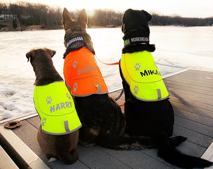 Custom Reflective Dog Vest Personalized High Visibility Reflective Jacket for Your Puppy Hunting Safety Gear with Elastic Strap & Clasp, Comfortable, Perfect for Day and Night Walks!-PawvioPets