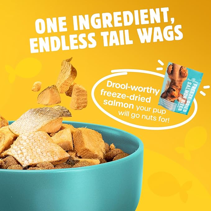 Freeze Dried Dog Treats - Wild Caught Salmon - Dog Food Dry Snacks - with Protein & Omega 3s - for All Breeds & Sizes - No Artificial Flavors & Dyes, No Preservatives - 1 Pouch, 4 oz-PawvioPets