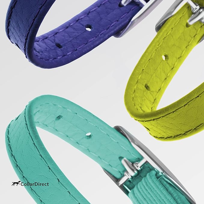 CollarDirect Leather Cat Collar with Bell - Kitten Collar, Small and Big Cat Collar for Boy Cats, Girl Cats with Safety Elastic Strap (Neck Fit 6"-7", Mint Green)-PawvioPets