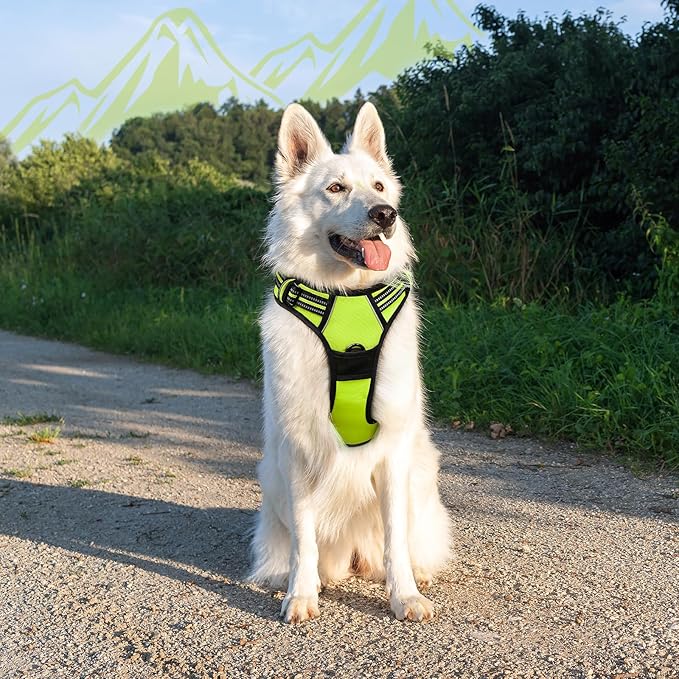 Eagloo Dog Harness Large Breed, No Pull Service Vest with Reflective Strips and Control Handle, Adjustable and Comfortable for Easy Walking, No Choke Pet Harness with 2 Metal Rings, Green, XL-PawvioPets