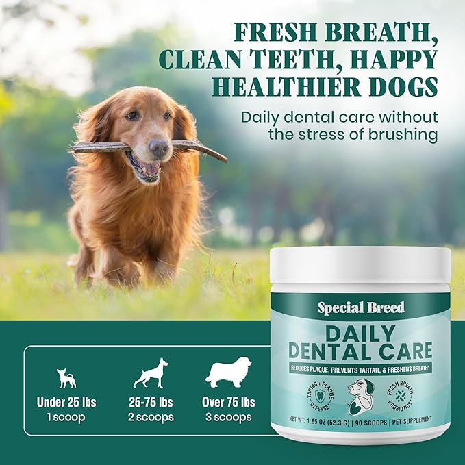 Dog Teeth Cleaning Powder – Natural Dog Dental Powder for Tartar Control, Fresh Breath & Gum Health – Daily Plaque Remover with Zeolite, Brown Algae, Probiotics & Rosemary – 90 Scoops-PawvioPets