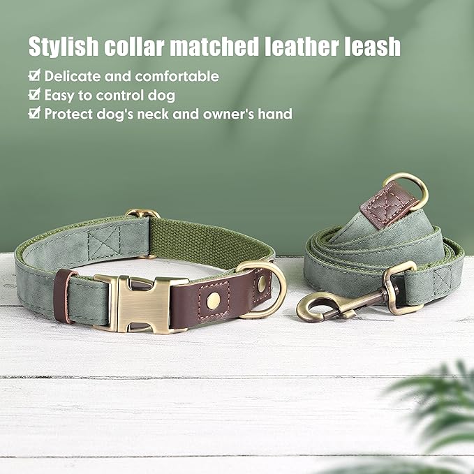 Didog Soft PU Leather Dog Collars for Small Dogs,Classic Adjustable Dog Collars with Quick Release Metal Buckle,Easy Clean and Comfortable with Nylon Lining,Green,S Neck 10-15"-PawvioPets
