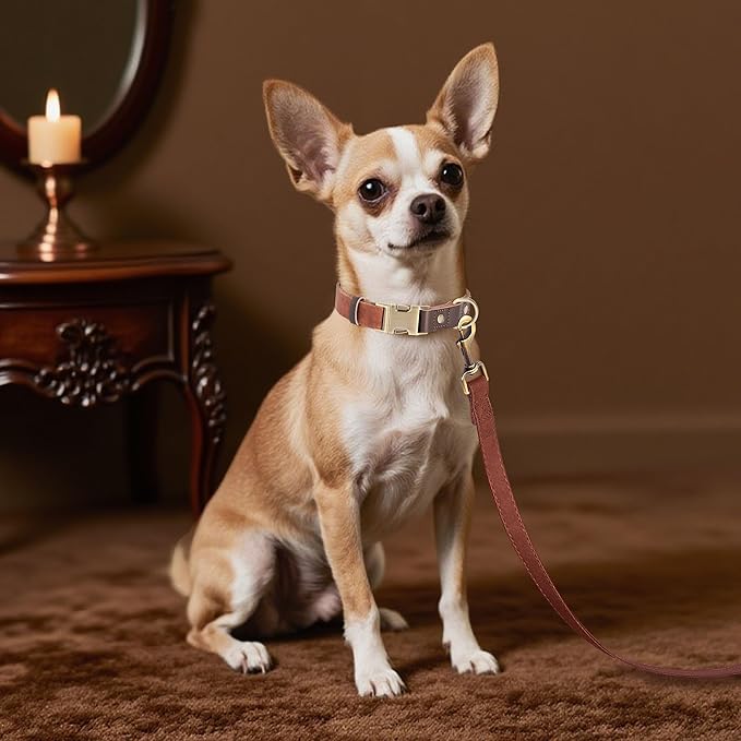 Didog Soft PU Leather Dog Collars for Small Dogs,Classic Adjustable Dog Collars with Quick Release Metal Buckle,Easy Clean and Comfortable with Nylon Lining,Brown,S Neck 10-15"-PawvioPets