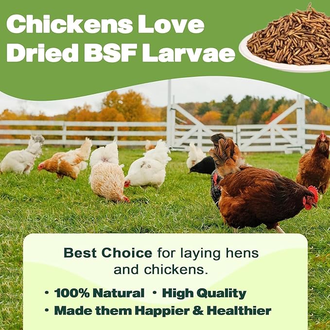5LB Dried Black Soldier Fly Larvae, 86X Calcium Than Dried Mealworms, High Protein Non-GMO Organic Chicken Feed-PawvioPets