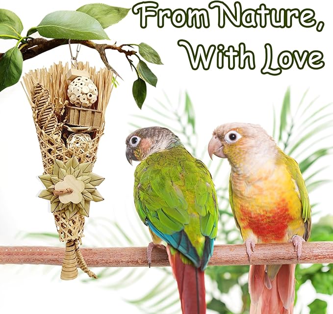 5-Pack Natural Flower Bird Toys – Foraging & Chewing Toys for Parakeets, Cockatiels, Conures & Small Birds – No Plastic, All-Natural Materials-PawvioPets