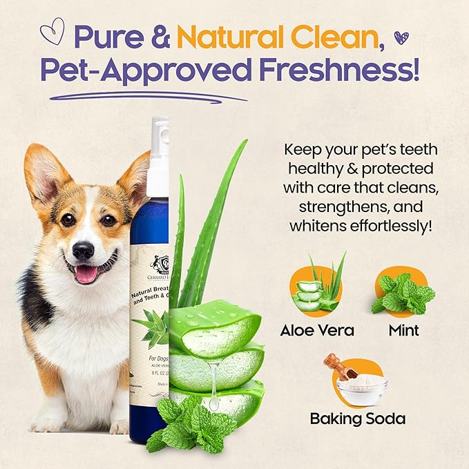 Dog Mouthwash, Dog and Cat Breath Spray with Baking Soda - 8 oz Natural Dog Breath Fresheners with Mint and Aloe Vera Mouth Spray for Tartar Control and Plaque, Dog Teeth Cleaning by Gerrard Larriett-PawvioPets