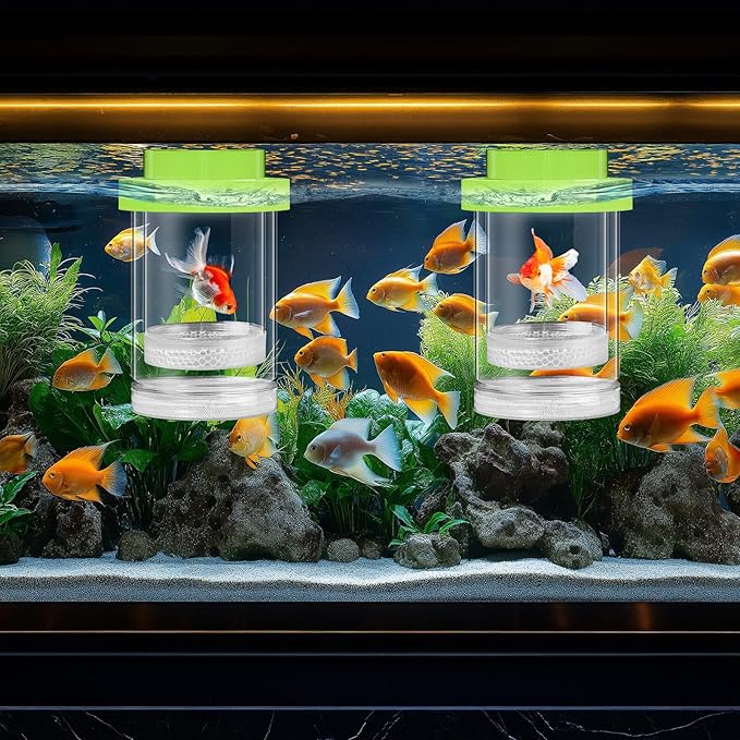 2 Pcs Breeder Box for Fish Tank Aquarium Breeder Separation Net Breeding Box with Suction Cup for Small Fish Shrimp Clownfish Guppy(Green,M)-PawvioPets