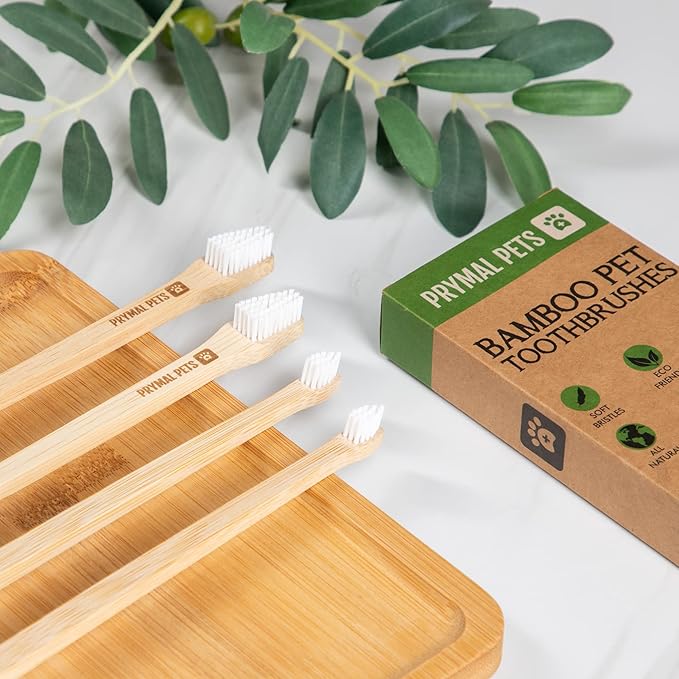 Dog Toothbrush I 4-Pack Two Sided Bamboo Toothbrush for Small and Large Dogs & Cats I Soft Bristles Gentle for Easy Dog Teeth Brushing & Dental Care-PawvioPets