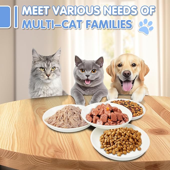 6 Pack Cat Food Bowl, Ceramic Cat Bowls, Anti Whisker Fatigue Cats Bowl,5.5 Inches Shallow Wide Kitten Plates for Food and Water (White)-PawvioPets