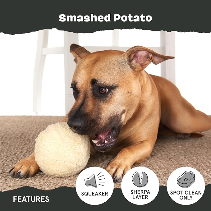 Barkbox Super Chewer Tough Dog Chew Toys for Aggressive Chewers, Plush 2 Toys in 1 (Potato - Small)-PawvioPets