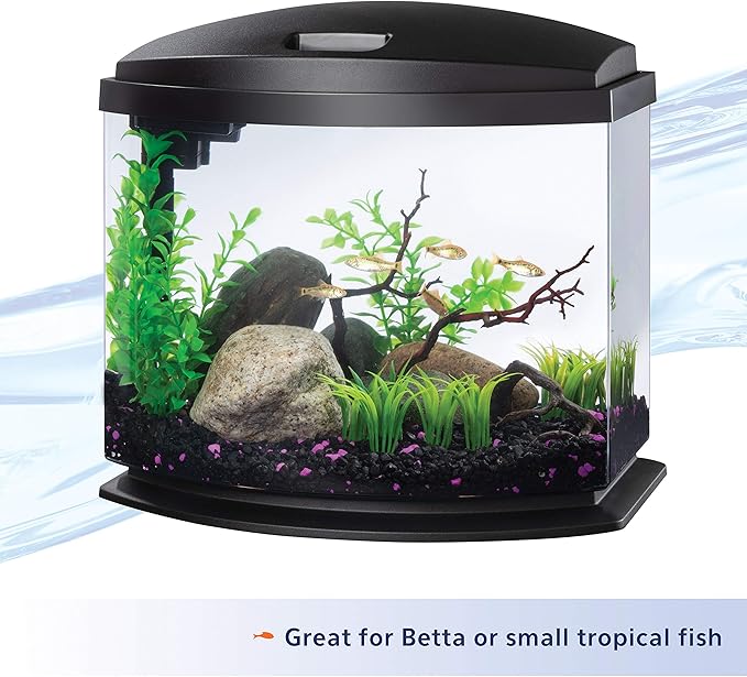 Aqueon LED MiniBow Small Aquarium Fish Tank Kit with SmartClean Technology, Black, 5 Gallon-PawvioPets