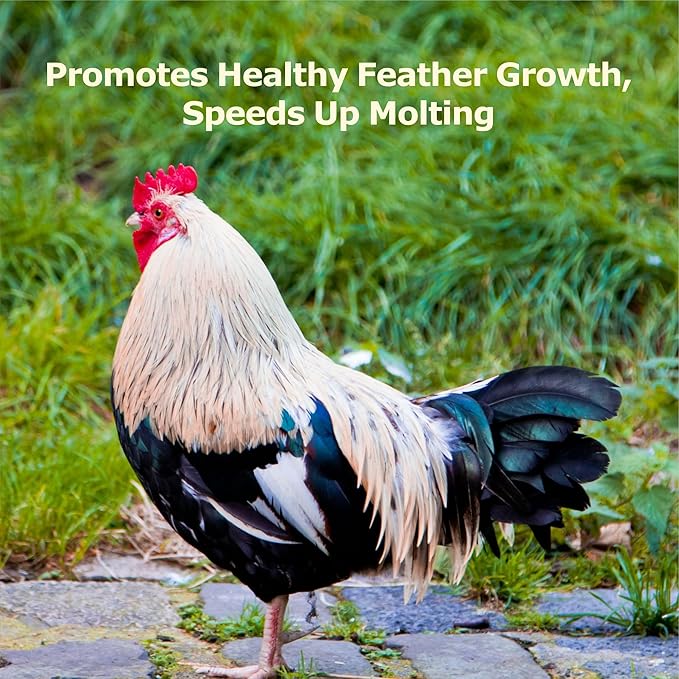 4LB Non-GMO Dried Black Soldier Fly Larvae, More Calcium Than Dried Mealworms, High Protein Chicken Feed, Poultry Treats-PawvioPets