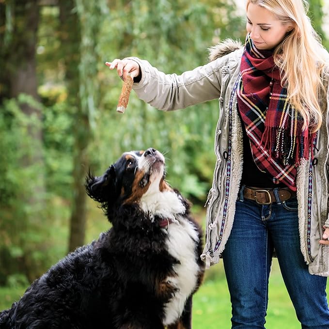 ASMPET Dog Treats, Chicken Wrapped Rawhide Sticks Filled with Sweet Potato for Small Medium Large Dogs（6pcs）-PawvioPets