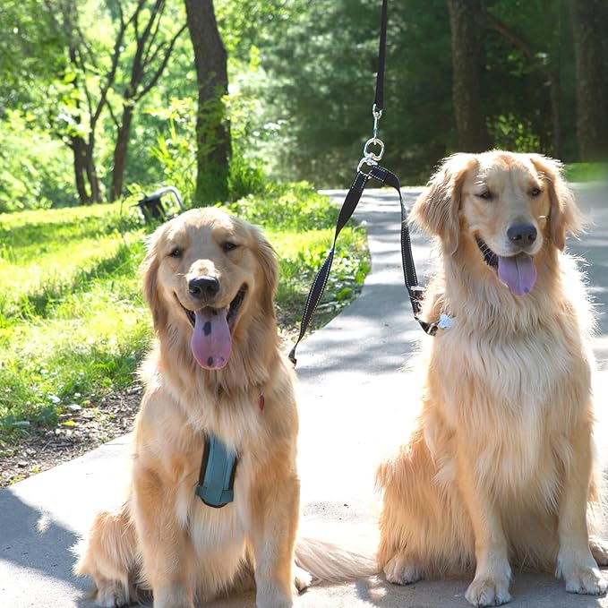 Caldwell's Pet Supply Co. Leash Coupler, Two Dog Leash Splitter to Split Leashes for Walking 2 Dogs, Tangle Free Double Dog Leashes Connector, Adjustable Attachment for Medium or Large Dogs-PawvioPets