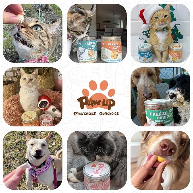 Freeze Dried Salmon Cat Treats, Single Ingredient Raw Cat Food Toppers, Healthy Training Treats for Dogs, Cats, 3.8 oz-PawvioPets