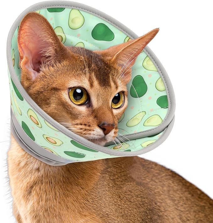 Cat Cone Collar Soft, Comfortable Cat Recovery Collar Pet Cone for Small Large Cats, Lightweight Elizabethan Collar for Cats Kittens After Surgery Prevent from Licking Wounds, Green, S-PawvioPets