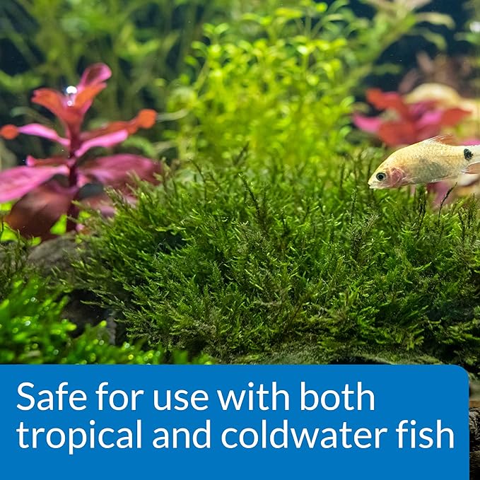 API ROOT TABS Freshwater Aquarium Plant Fertilizer 0.4-Ounce 10-Count Box-PawvioPets