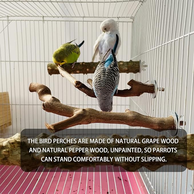 5PCS Bird Perch Stand Natural Wooden Parrot Stand Branch,3 Grape Wood Perch,2 Stand,Paw Grinding Fork Parakeet Chewing Stick Exercise Training Branches for Cockatiels,Small Medium Birds-PawvioPets
