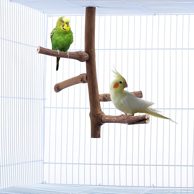 Bird Perch Stand Toy, Natural Grapevine Wood Parrot Perch Bird Cage Branch Accessories for Parakeets Cockatiels Conures Macaws Finches Love Birds(9.8" Length)-PawvioPets