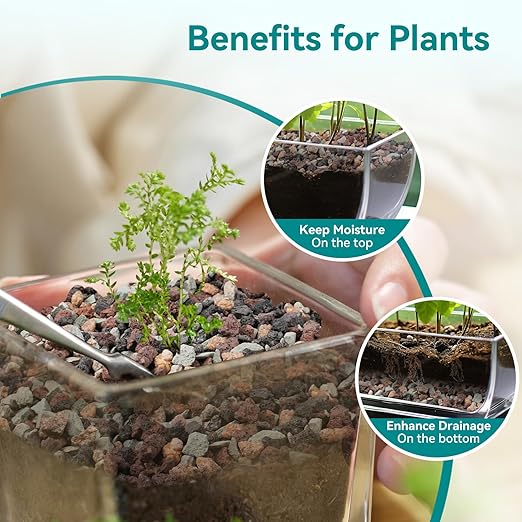 2.5lbs Terrarium Rocks for Pots Indoor, Succulent, Cactus, Bamboo, Bonsai Tree, 1/5 Inch Rocks for Planters Drainage, Mixed Color Small Lava Rocks for Top-Dressing-PawvioPets