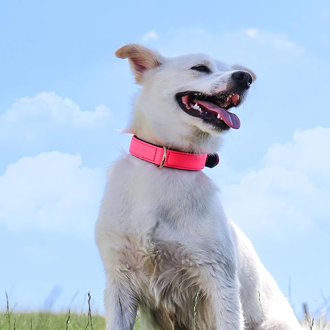 Didog Soft Padded Dog Collars for Small Dogs, Lightweight and Breathable Pink Dog Collar with Metal Buckle, Pink, M-PawvioPets