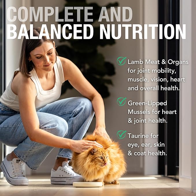 Feline Natural New Zealand Canned Catfood Wet Food, High-Meat, Low-Carb, & Grain Free Cat Food Wet, Lamb Feast, 6 oz, Pack of 12-PawvioPets