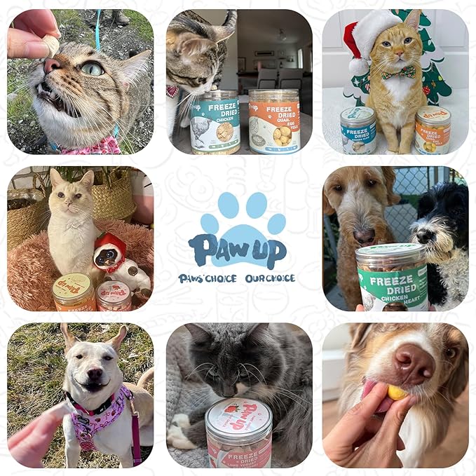 Freeze Dried Sheep Milk Yogurt Flavor, Gentle Sheep Milk Dog Treats for Sensitive Stomachs Puppies, 2.8 oz-PawvioPets