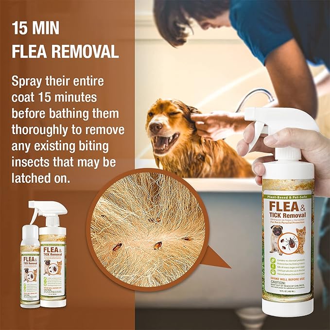 EcoVenger Flea & Tick Removal Spray 16oz for Dogs and Cats, Protects from Fleas, Mites, Ticks & Mosquitoes, eliminates+ Repels+ Housekeeping, Indoors/Outdoors, Plant-Based Formula Safe for Pets & Kids-PawvioPets