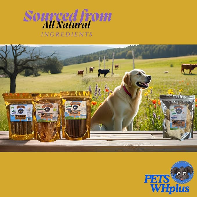 Beef Tendon Dog Treats, Single Ingredient, 100% Natural, Grass-Fed, Long-Lasting Rawhide-Free Chews, Collagen Protein, Dental & Joint Support, 4 oz, Safe & Grain-Free Snack-PawvioPets