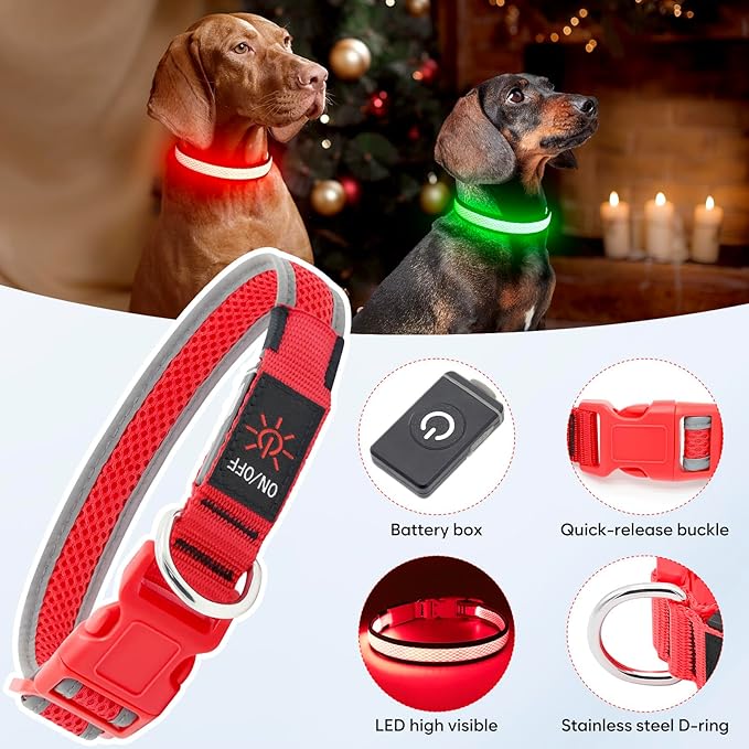 Flashseen LED Dog Collar, Light Up Dog Collar USB Rechargeable, Brightest Dog Lights for Night Walking, Adjustable Dog Collar Light for Dog Safety(Small, Ruby Red)-PawvioPets