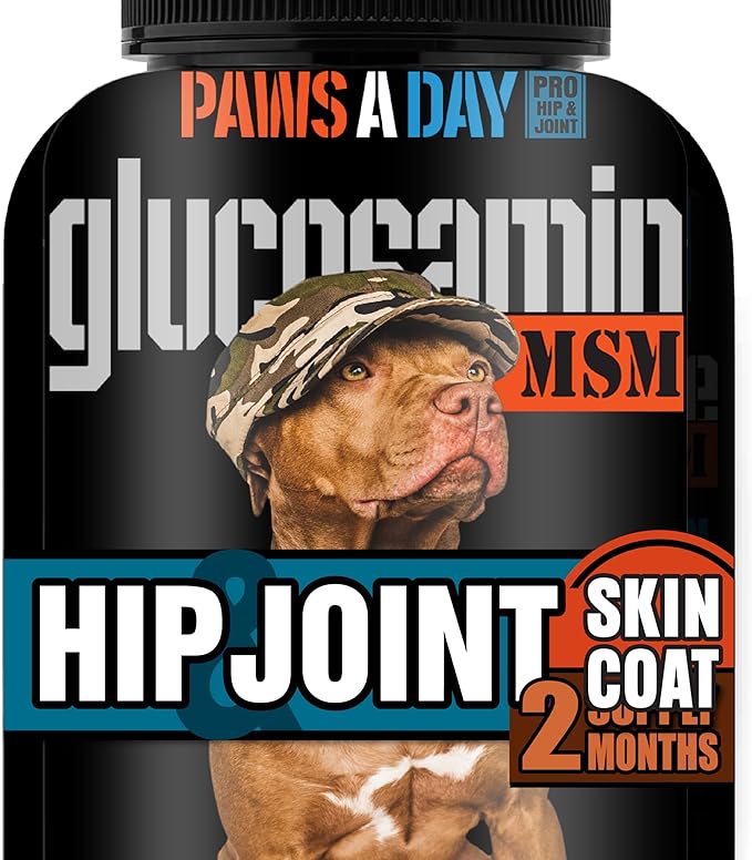 Glucosamine for Dogs Hip & Joint Supplement – “Two-in-One Combo” Dog Joint Care and Improved Skin & Coat with Chondroitin, MSM, Omega 3, Collagen & Biotin, 60 Chewable Tablets-PawvioPets