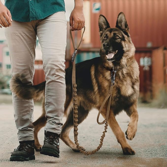 Excellent Elite Spanker Tactical Bungee Dog Leash Military Adjustable Dog Leash Quick Release Elastic Leads Rope with 2 Control Handle(Ranger Green)-PawvioPets