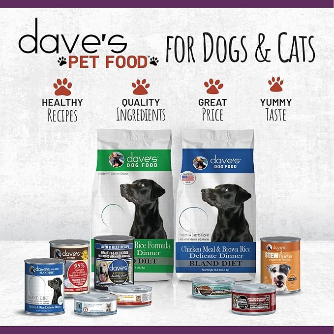 Dave's Pet Food Grain Free Wet Cat Food (Shredded Chicken in Gravy), Made in Canada Naturally Healthy Canned, Added Vitamins & Minerals, Wheat & Gluten-Free, GMO-Free, 5.5oz (24 Pack)-PawvioPets