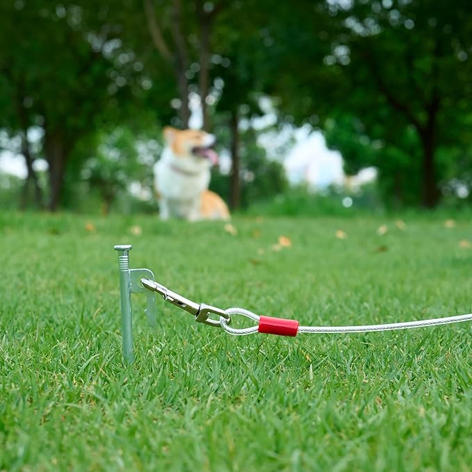 Amazon Basics Tie-Out Cable for Dogs up to 90 lbs, 25 feet, White-PawvioPets