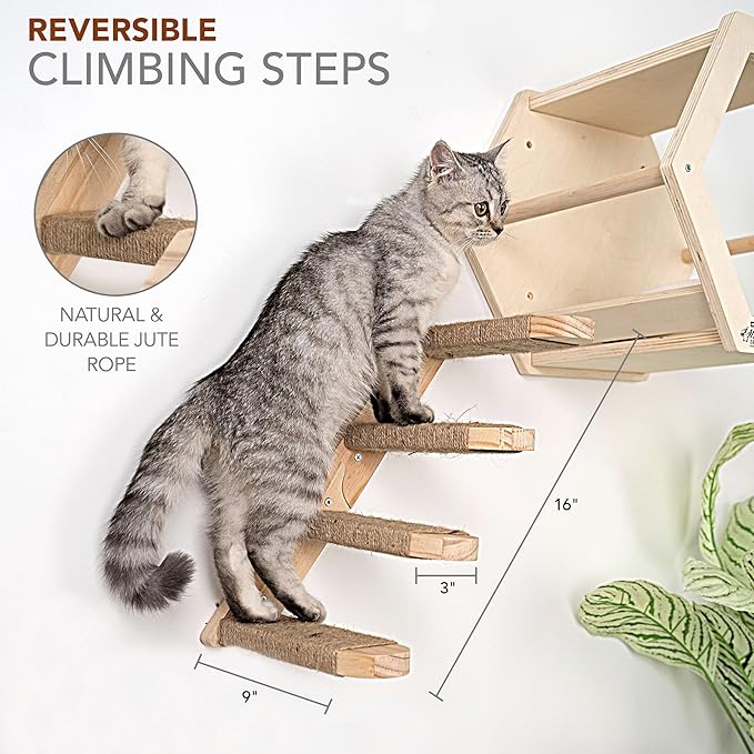 3-Piece Cat Wall Furniture Set - Hammock, Hexagon House, Climbing Steps - Wall Mounted Shelves, Perches, and Beds - Modern Design for Large Cats and Kittens & Spare Hammock Fabric Included-PawvioPets