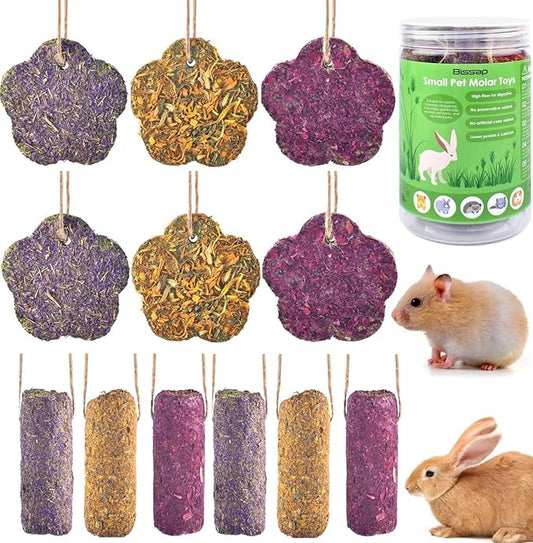 Bissap 12PCS Rabbit Chew Sticks, Hanging Chew Sticks & Cakes Timothy Hay Carrot Strawberry Treat for Bunny Chinchilla Guinea Pig Hamster and Other Small Pets Molar Snack Toy-PawvioPets