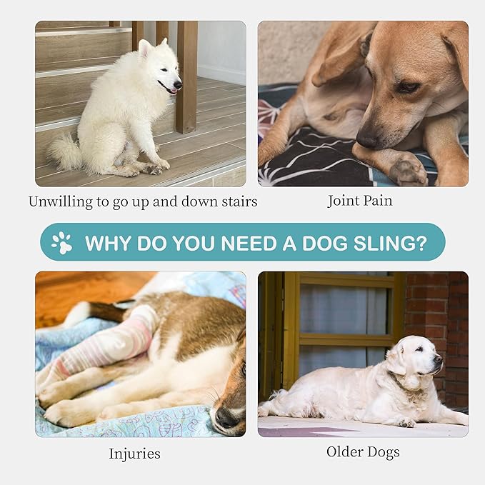 Dog Sling for Medium Dogs Hind Leg Support – Helps with Joint Pain, Mobility Issues, and Ivdd, Rear Leg Lift Harness with Chest Strap, Adjustable Elastic, and Reflective Material, M-PawvioPets