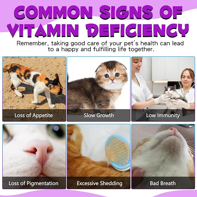 2PCS Liquid Multivitamin for Cat, 15 in 1 Cats Multivitamin Liquid Drops Supplements for Skin & Coat, Heart Health, Bones and Joint, Cat Vitamins with Glucosamine and MSM, Immune System Support-PawvioPets