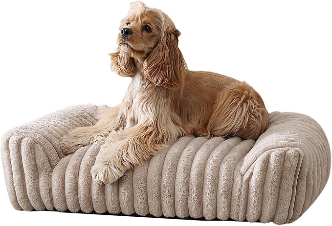 Arlee Saddle Sofa Memory Foam Pet Bed, Comfortable & Washable, Ideal for Dogs and Puppies, Extra Comfort, Couch Design, Crate & Kennel Furniture, Pet Supplies & Essentials, Tan, Medium-PawvioPets