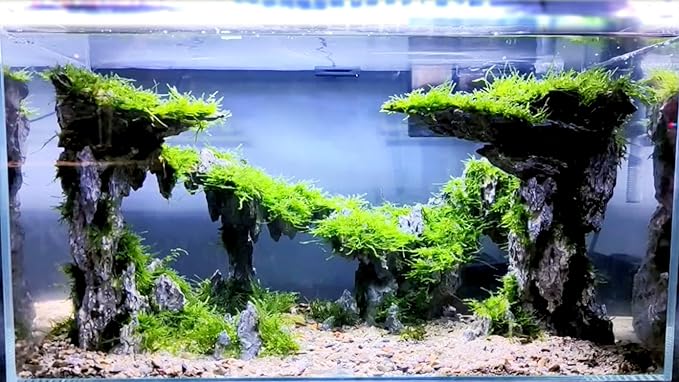 Fish Tank Decor Rocks.Aquarium Decoration Model.Easy and Quick Solution for Aquascaping.(Twilight)-PawvioPets